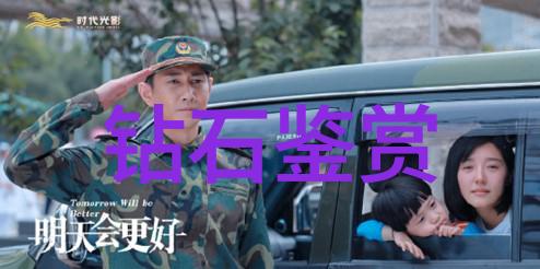 迷失在繁星下的玫瑰寻梦者
