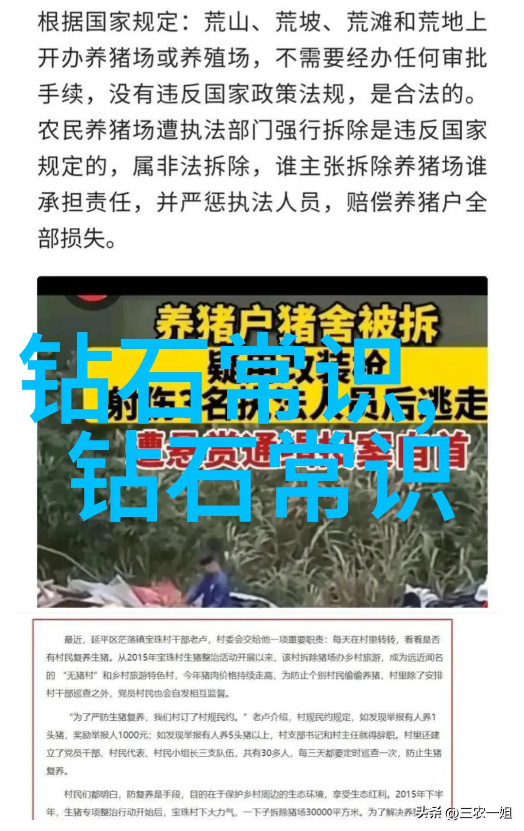 瑰夏(1V2)写真集瑰夏的魅力与魅惑