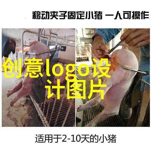 工艺品探索 - 工艺品的魅力手工制作与文化传承