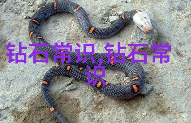 深度侵蚀揭秘如何在不自知中被他人的视线所占据