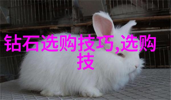 工业设计考研开启创意与实践的双轨道之旅
