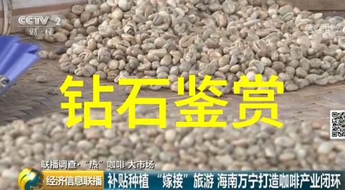 学科分类我是怎么搞懂哪个课程属于哪一门学科的