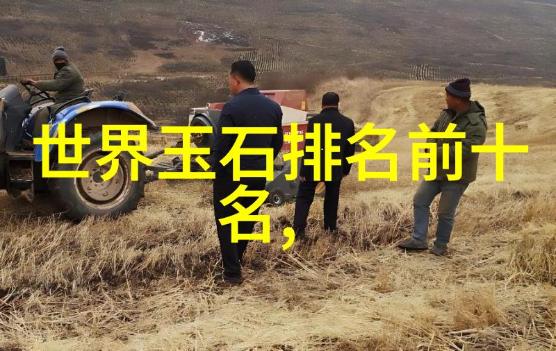 男孩的大排骨穿过女孩的甜蜜圈圈