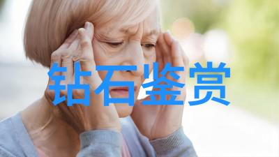 翱翔蓝天法国空乘的荣耀与挑战
