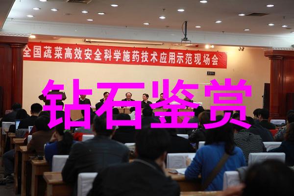 研究中国传统建筑风格及其symbolism它们背后的设计原则又是在讲述什么故事