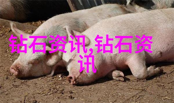 广东文艺职业学院对社会文化贡献了什么样的力量