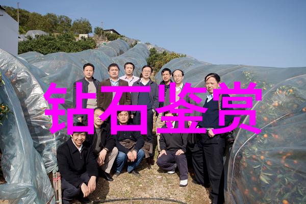 工艺流程图PPT模板精彩展现生产之美