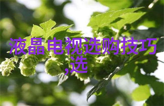 妈妈的朋友5完整视频翻译星家庭生活中的友谊与帮助