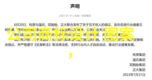 空中楼阁与脚踏实地两颗探测器对比解析