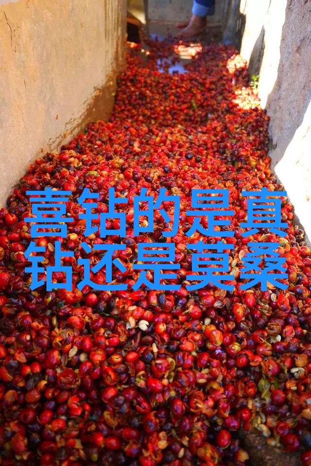 璀璨星辰全球珠宝贵族之巅
