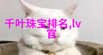 画卷中的魔法师绘声绘影的动画世界