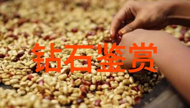 国内学珠宝设计的翘楚探索顶尖大学的艺术之路