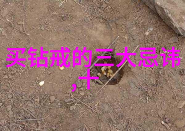 城市角落的隐秘之窗探索针孔旅社的文化与故事